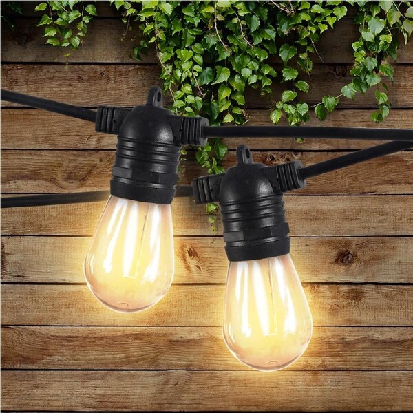 Emitto LED Festoon String Light Christmas 10-60m Garden Party Pitaya Grow Light 50 Bulbs 50m