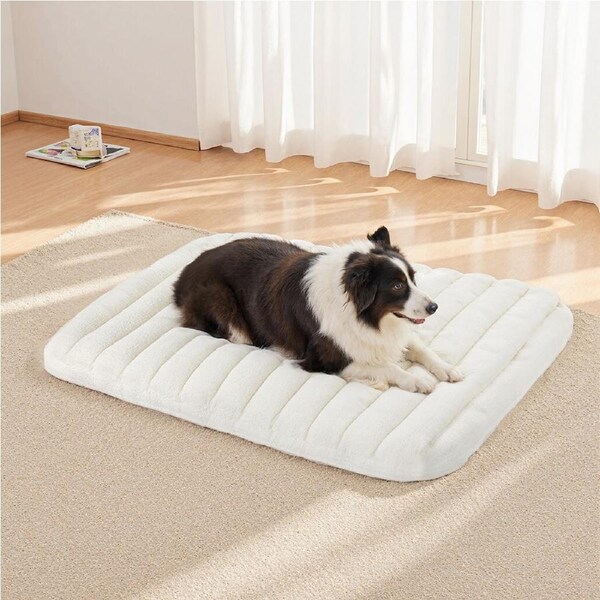 Pawz Pet Dog Bed Foam Waterproof Teddy Fleece Cover Orthopedic Mattress Washable 92 x 67 x 8cm / White