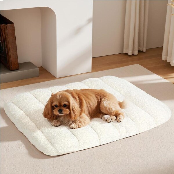 Pawz Pet Dog Bed Foam Waterproof Teddy Fleece Cover Orthopedic Mattress Washable 75 x 50 x 8cm / White