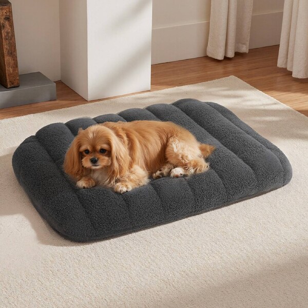 Pawz Pet Dog Bed Foam Waterproof Teddy Fleece Cover Orthopedic Mattress Washable 61 x 46 x 7.5cm / White
