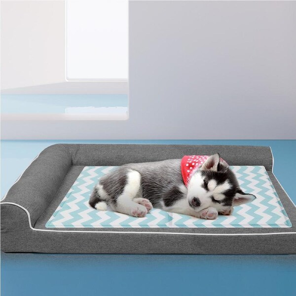 Pawz Pet Cooling Mat Gel Dog Water Bed Ice Mattress Non-Toxic Self-Cool Durable M (65cm x 50cm) / Blue