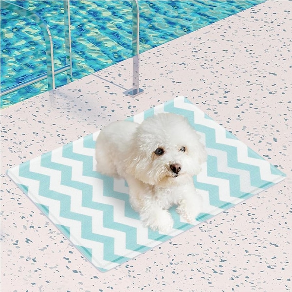 Pawz Pet Cooling Mat Gel Dog Water Bed Ice Mattress Non-Toxic Self-Cool Durable S (50cm x 40cm) / Blue