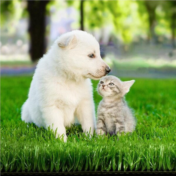 Prime Turf Artificial Grass Roll - 10-45mm Synthetic Lawn - 10-20SQM Fake Turf for Patio, Pets Yard 10MM - 2Mx5M Olive Green