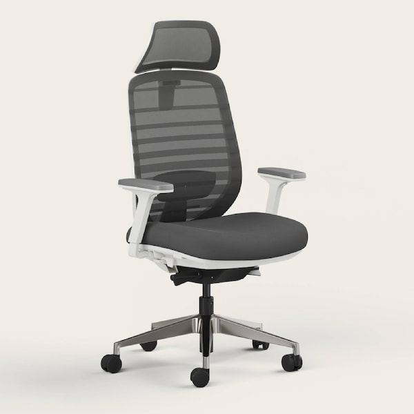 RECESS Ergo Pro 2.0, 8-Point Adjustable Premium Ergonomic Office Chair Storm Cloud - Headrest