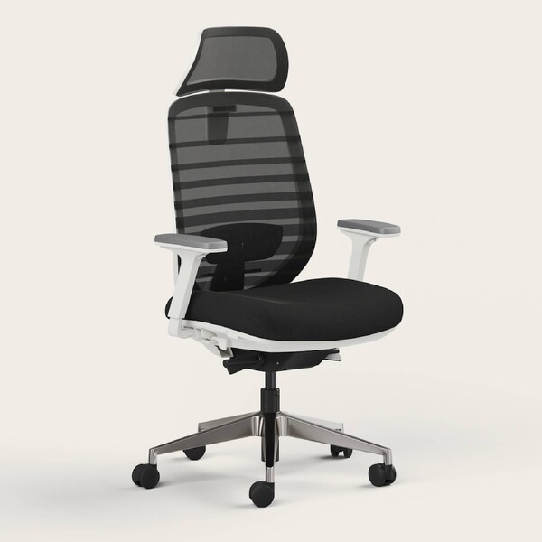 RECESS Ergo Pro 2.0, 8-Point Adjustable Premium Ergonomic Office Chair Full Moon - Headrest