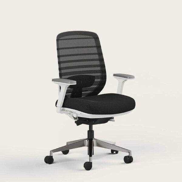 RECESS Ergo Pro 2.0, 8-Point Adjustable Premium Ergonomic Office Chair Full Moon - No Headrest