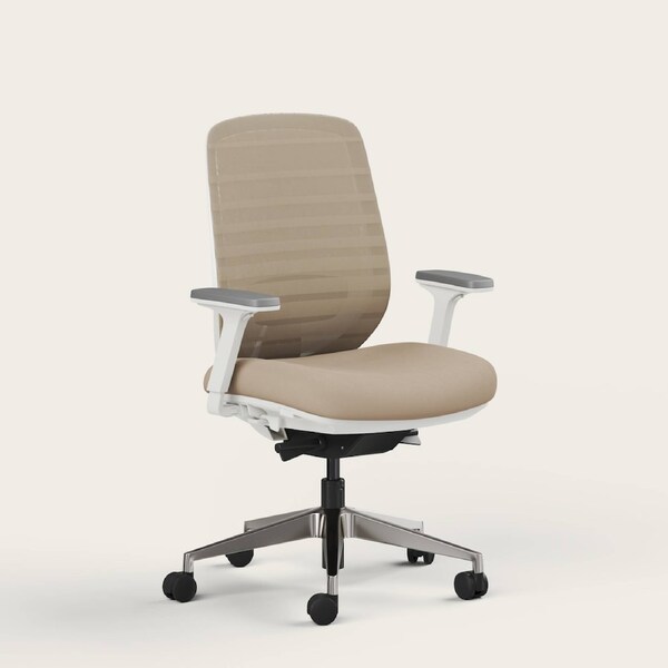 RECESS Ergo Pro 2.0, 8-Point Adjustable Premium Ergonomic Office Chair Sandstone - No Headrest