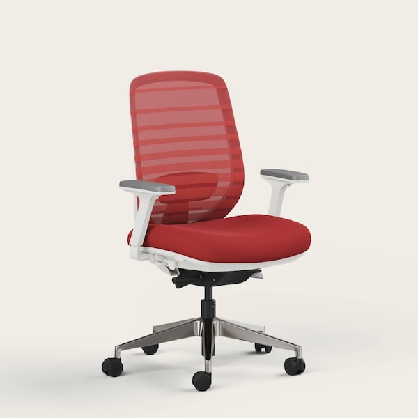 RECESS Ergo Pro 2.0, 8-Point Adjustable Premium Ergonomic Office Chair Red Earth - No Headrest