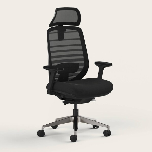 RECESS Ergo Pro 2.0, 8-Point Adjustable Premium Ergonomic Office Chair Night - Headrest