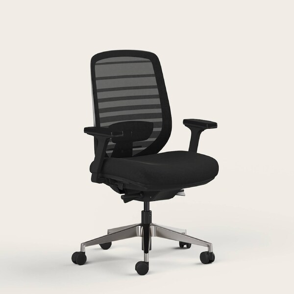 RECESS Ergo Pro 2.0, 8-Point Adjustable Premium Ergonomic Office Chair Night - No Headrest