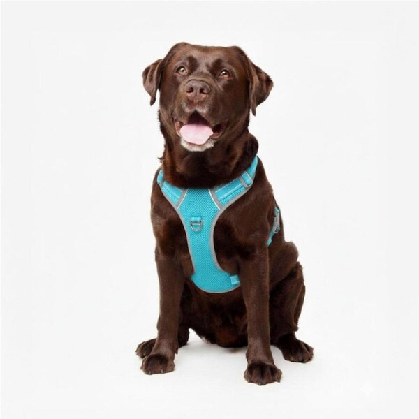 Best No Pull Dog Harness - Fur King Ultimate No Pull Harness Light Blue / Medium