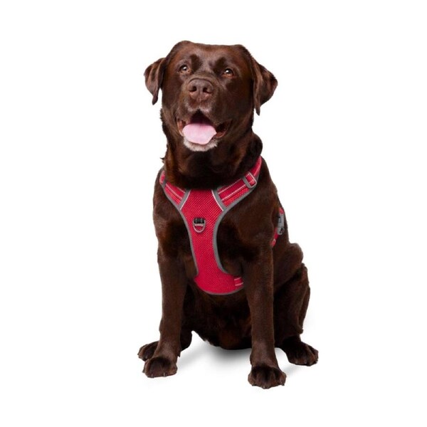 Best No Pull Dog Harness - Fur King Ultimate No Pull Harness Red / Large