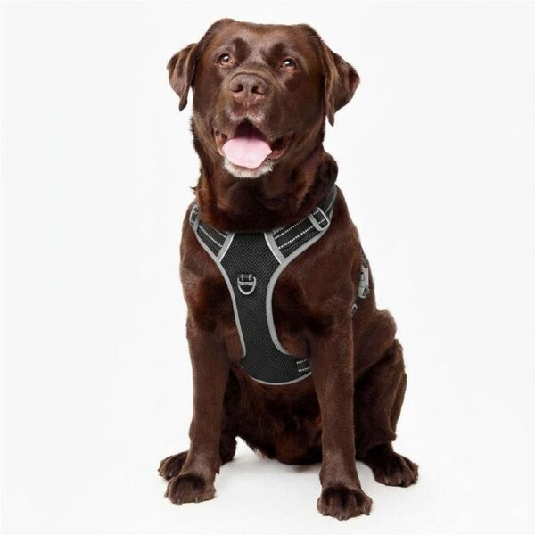 Best No Pull Dog Harness - Fur King Ultimate No Pull Harness Black / XL