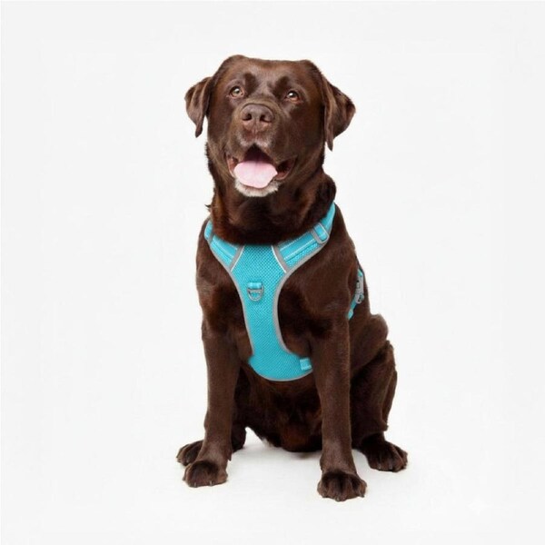 Best No Pull Dog Harness - Fur King Ultimate No Pull Harness Light Blue / XL