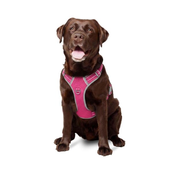 Best No Pull Dog Harness - Fur King Ultimate No Pull Harness Pink / Large