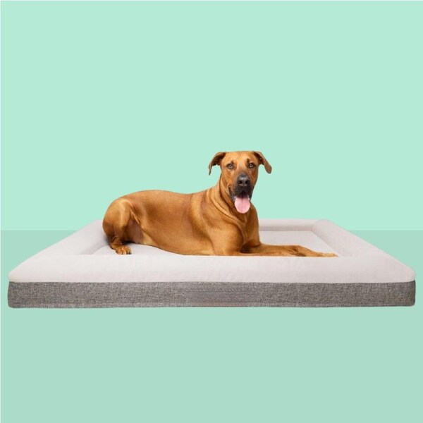 Fur King Orthopedic Dog Bed XL