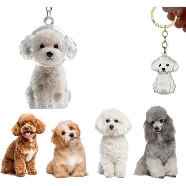 Velocity Dog Hair Collector Keychain Charm Memorial Storage Box Dog Hair Bottle Pup Capsule Collecting Pet Hairs DogE