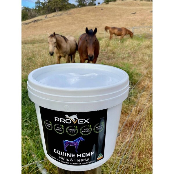 Provex - Equine Hemp - Hemp Hulls & Hearts 10L