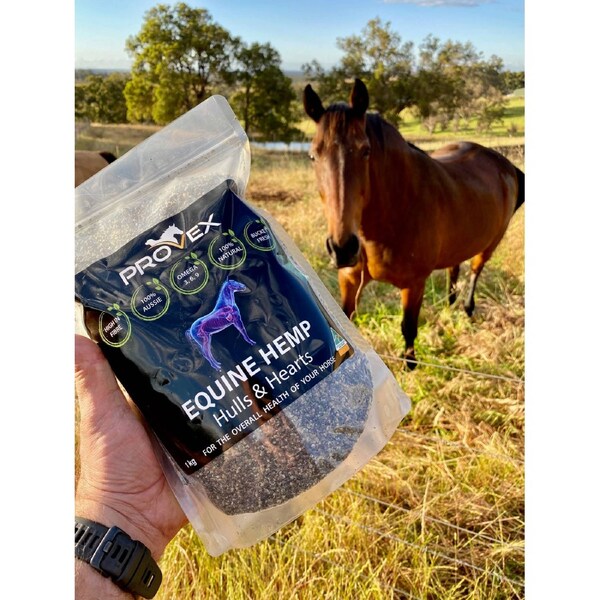 Provex - Equine Hemp - Hemp Hulls & Hearts 1kg