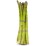 Fresh Asparagus Family Bunch each