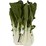 Buk Choy Asian Greens each