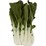 Buk Choy Asian Greens each