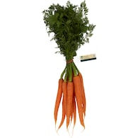 Woolworths Carrot Dutch Bunch