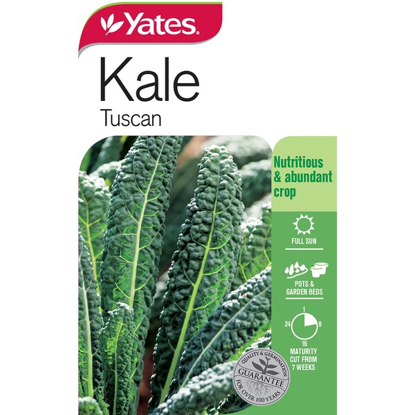 Yates Kale Tuscan Seeds Each