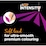 BIC Intensity Woodcase Colouring Pencil 12 Pack