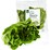Woolworths Cos Hearts Lettuce 2 pack