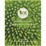 Bx Earth Desert Lime & Coconut Candle 300g