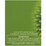 Bx Earth Desert Lime & Coconut Candle 300g