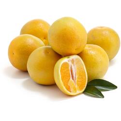 Orange Valencia Each