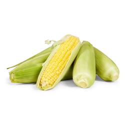Corn Sweet Each