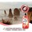 Earth Choice Ultra Concentrate Dishwashing Liquid Red Apple 900ml