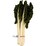 Silverbeet Fresh Bunch each