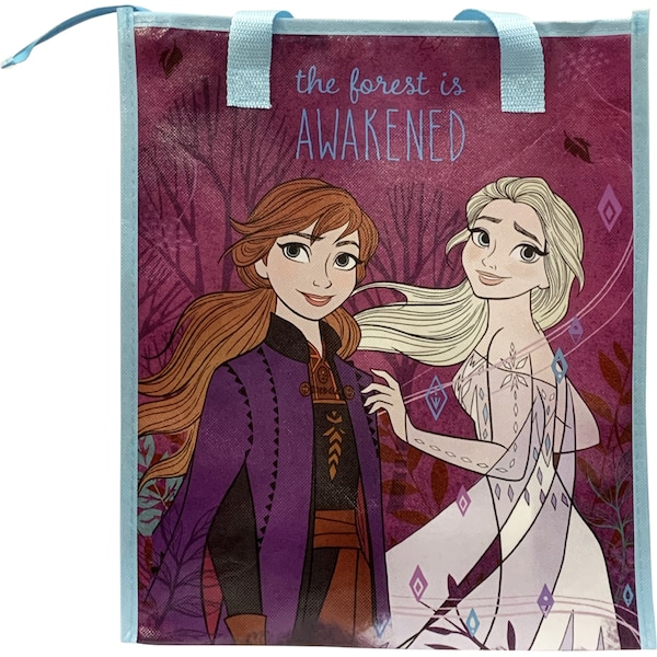 Frozen Frozen Activity Bag Each