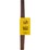 Bow Wow Bully Stick Dog Treat each