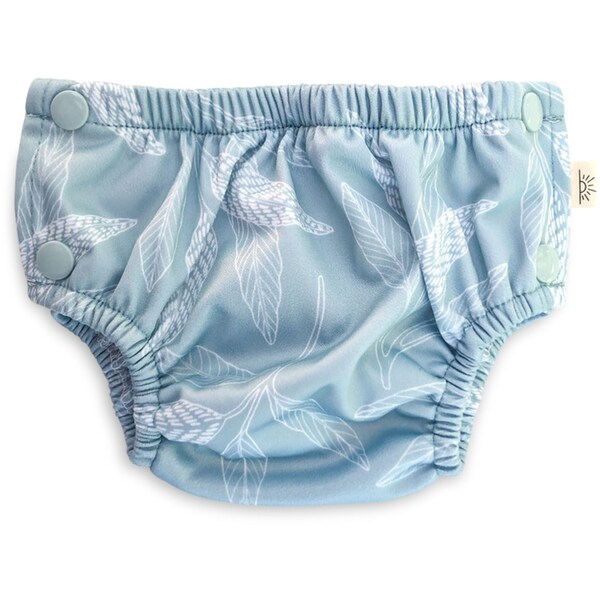 EcoNaps Swim Nappy Medium Assorted each