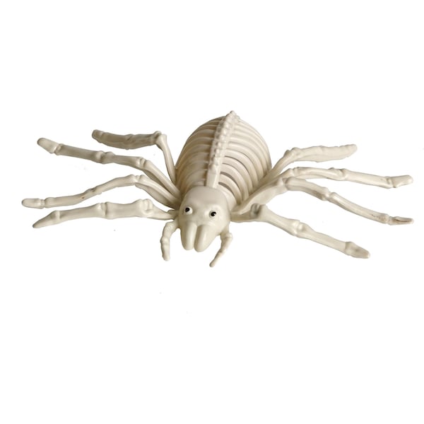 Halloween Small Skeleton Animals Spider Each
