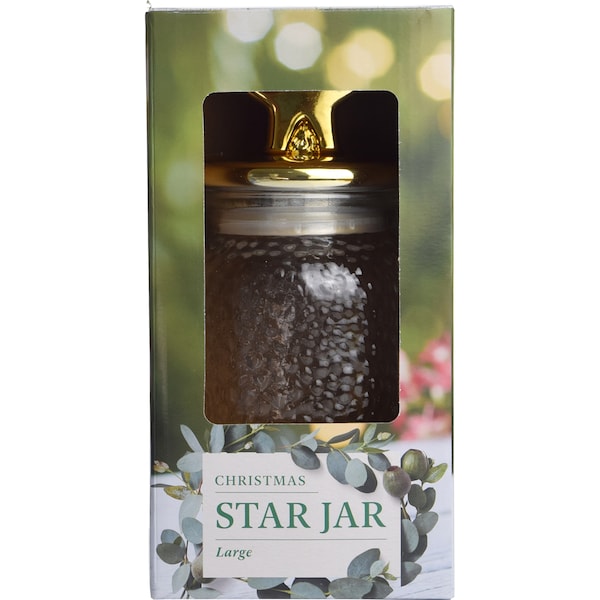 Christmas Star Glass Jar Large Each