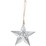 Christmas Divine Metal Star Silver Ornament Each