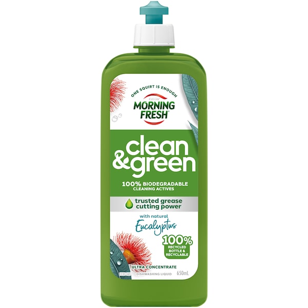 Morning Fresh Clean & Green Dishwashing Liquid With Natural Eucalyptus 650ml