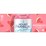 Mount Franklin No Sugar Lightly Sparkling Watermelon Water Cans 375mL x 10 pack