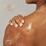 Thanks To Nature Nourish Sweet Almond Shower Oil 250mL