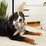 Bark Box Itty Bitty Bunny Slippers For Dogs XS-S Each