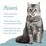 Pretty Wild Creamy Tuna Puree Cat Treats 15g x 4 pack