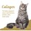 Pretty Wild Chicken Risotto Wet Cat Food 80g