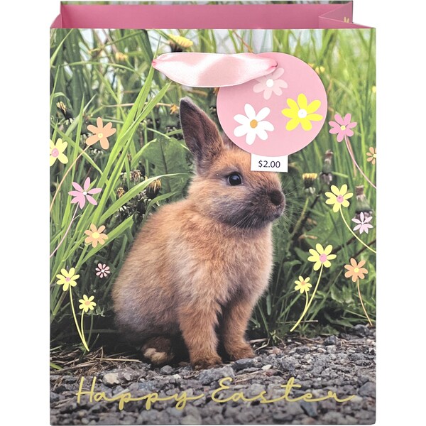 Easter Gift Bag Med - Photographic Bunny Each