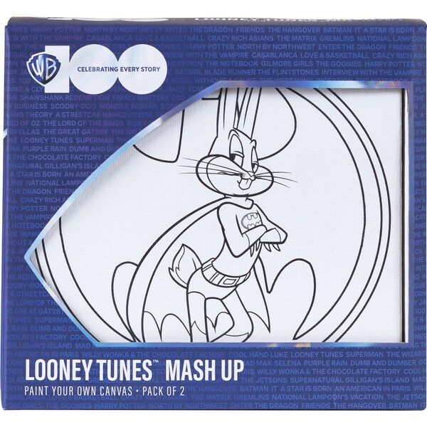 Warner Bros. WB100 Paint Your Own Canvas 2 Pack